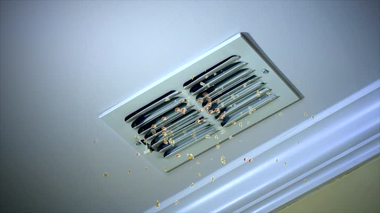 Best Air Duct Cleaning Near Me  in Meadow Les, AK